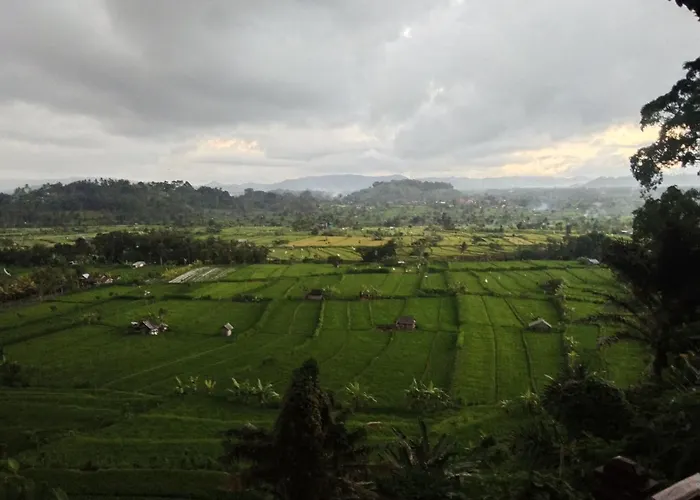 Kubu Carik * Karangasem
